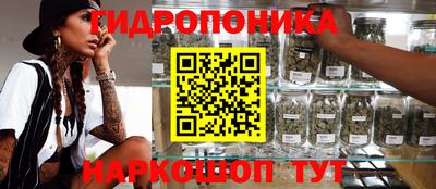 MESCALINE Гай