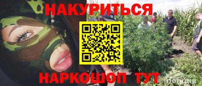 твердый Гатчина