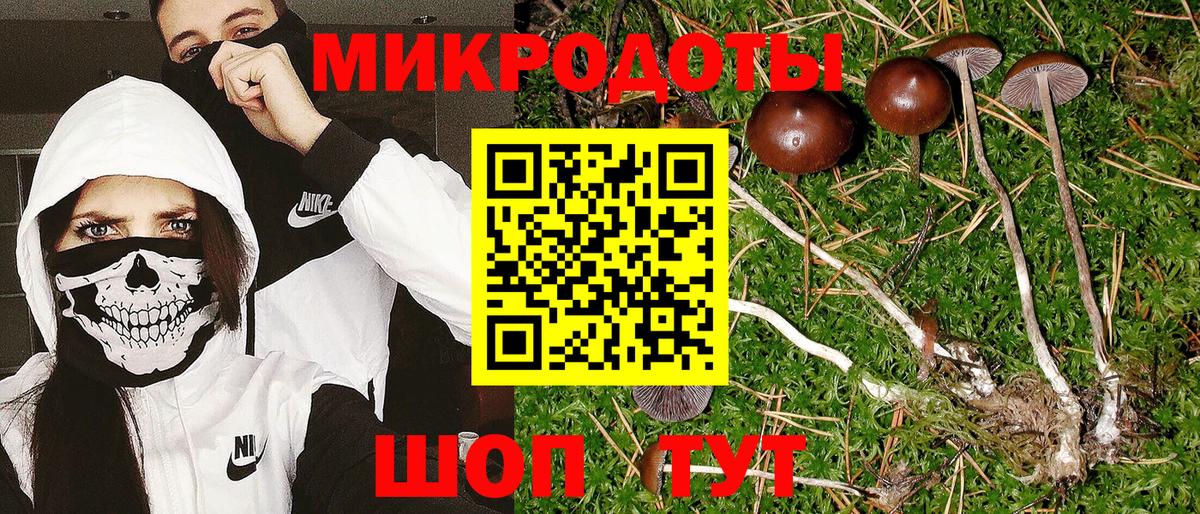 Псилоцибиновые грибы ЛСД Ишим