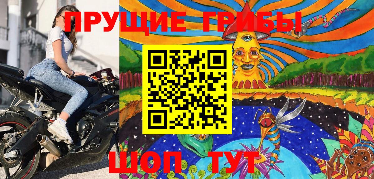 Галлюциногенные грибы мицелий  Вход с VPN  Галлюциногенные грибы мицелий  Ишим 